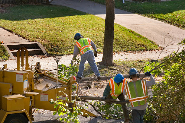 Tree Branch Trimming in Cumming, GA